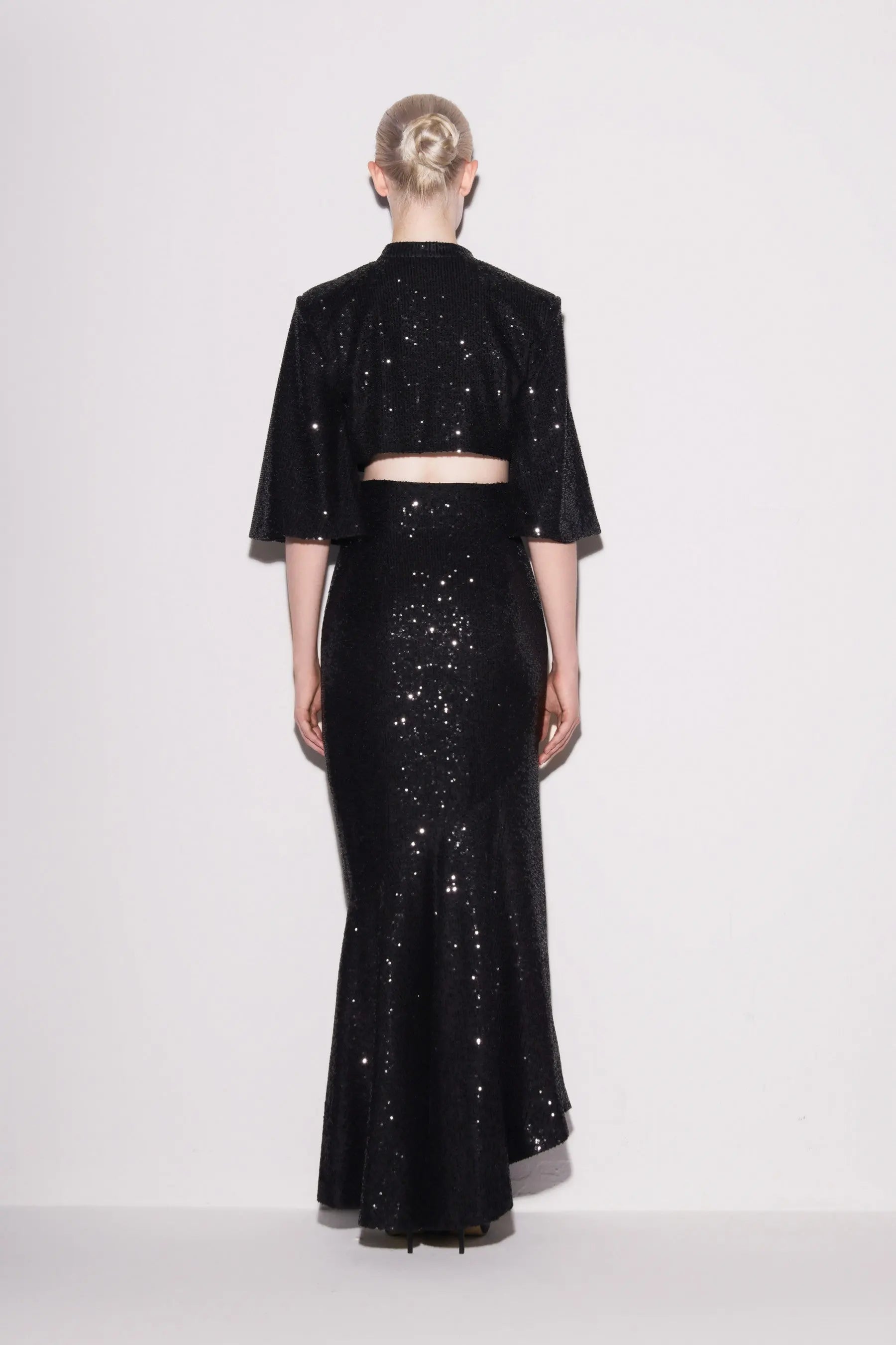 Radiant Sequin cropped Top & Glamorous Skirt