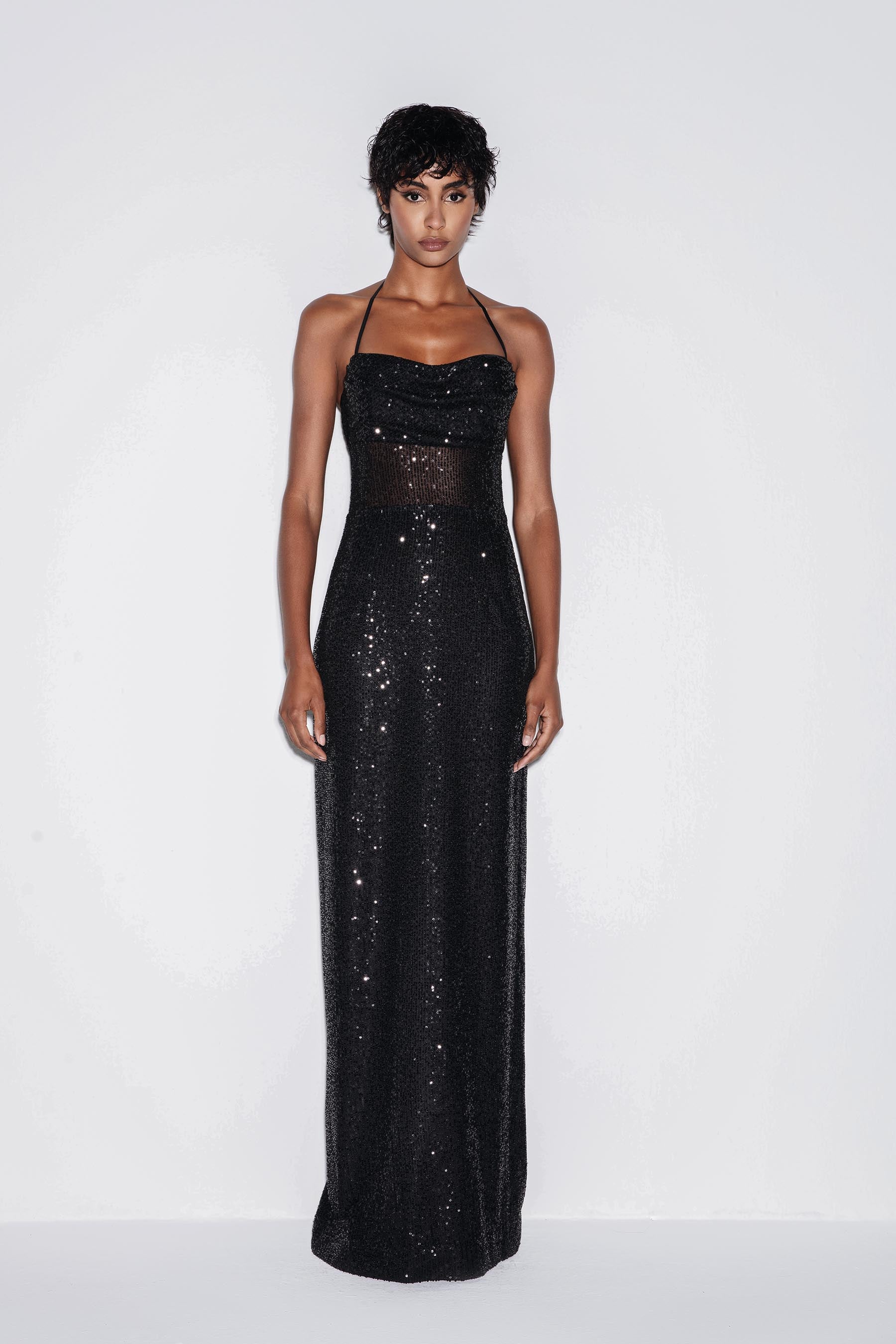 Glistening Elegance Dress