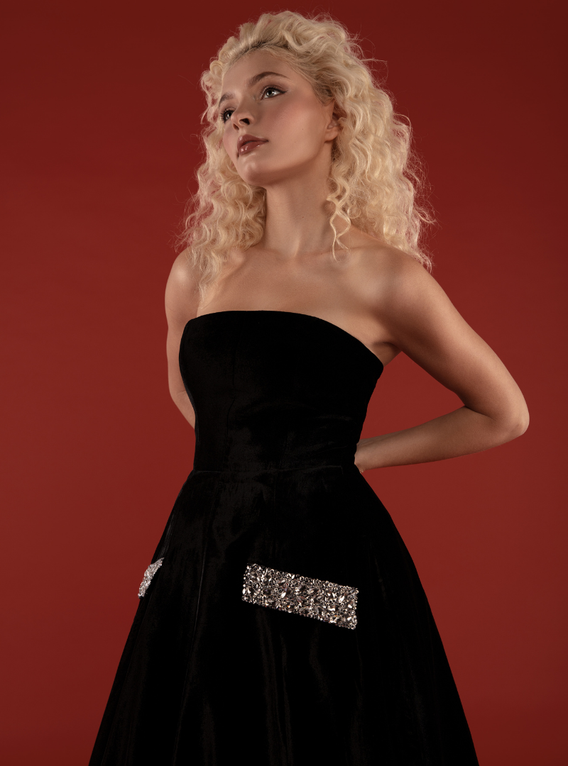 The Velvet Muse dress