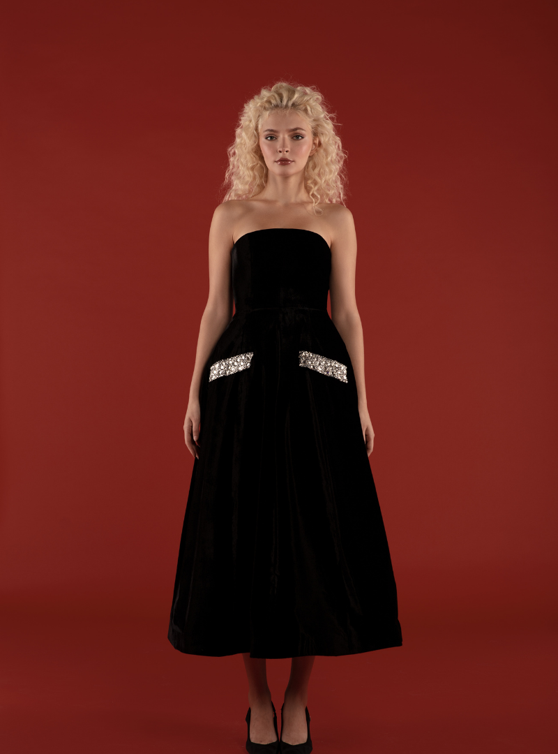 The Velvet Muse Dress