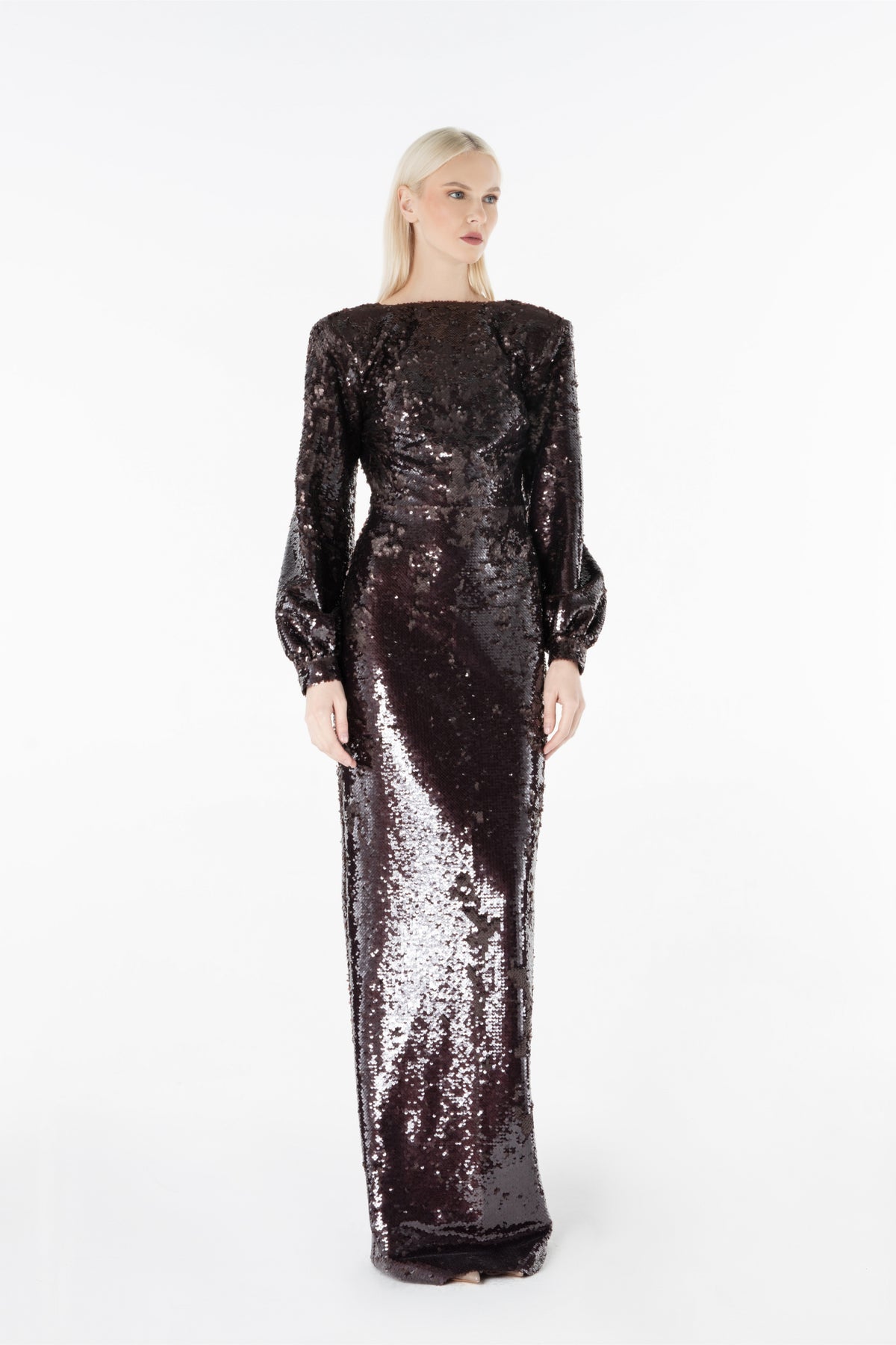 Balloon Sleeve Dress