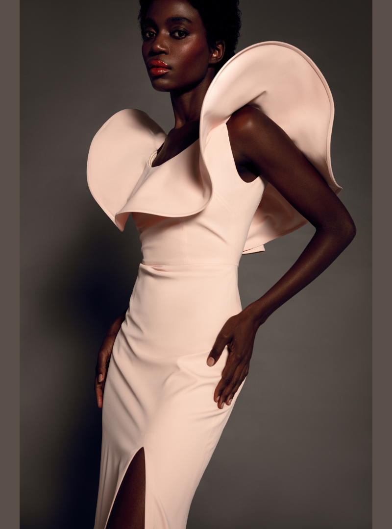 The Ruffled Romance Dress