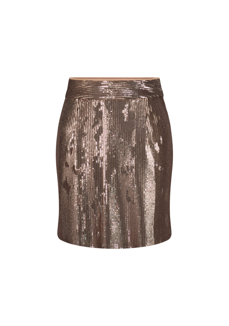 Sequin Skirt Suit