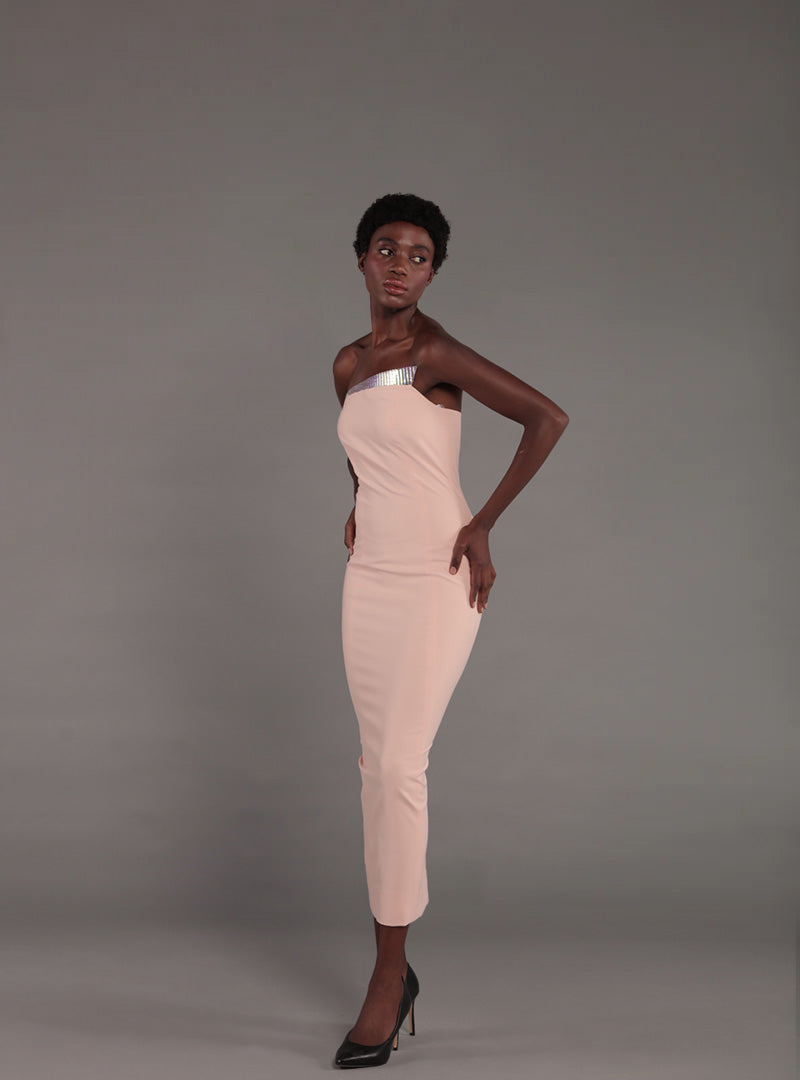 The Strapless Slim Cut Dress