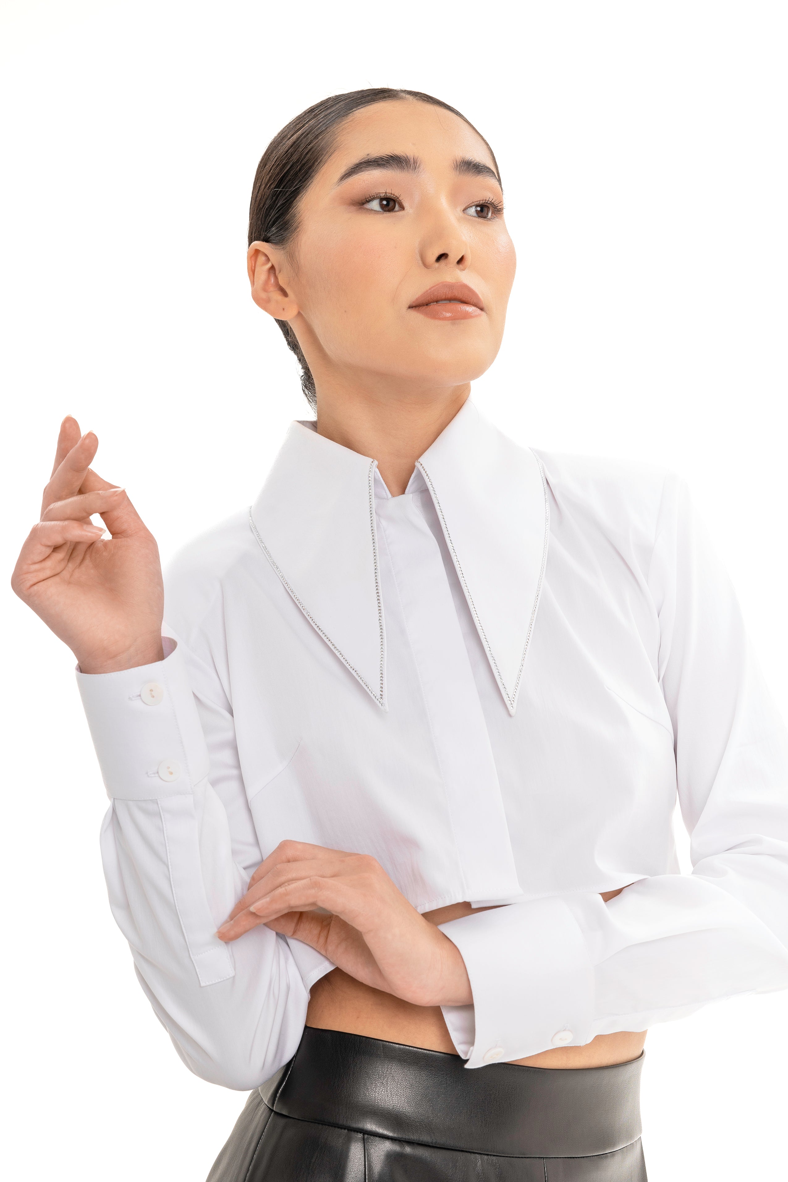 The Cropped Iconic Long Collar Shirt