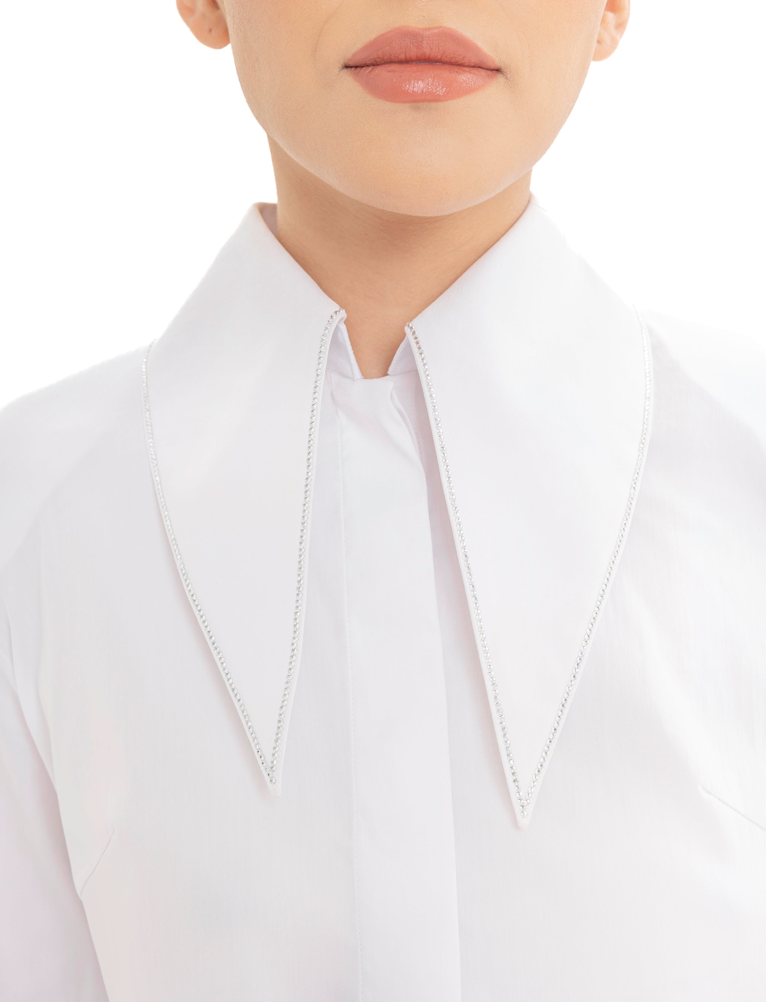 The Cropped Iconic Long Collar Shirt