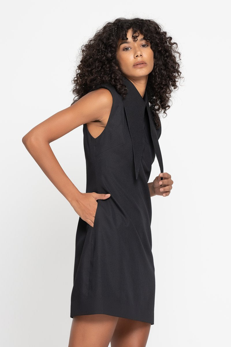 THE ICONIC COLLAR DRESS (B2B)